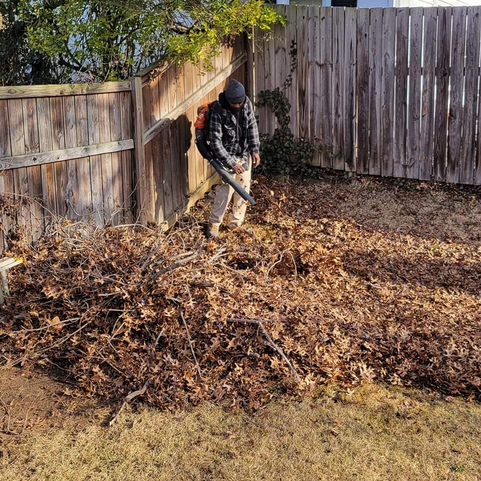 Leaf Clean-up & Removal