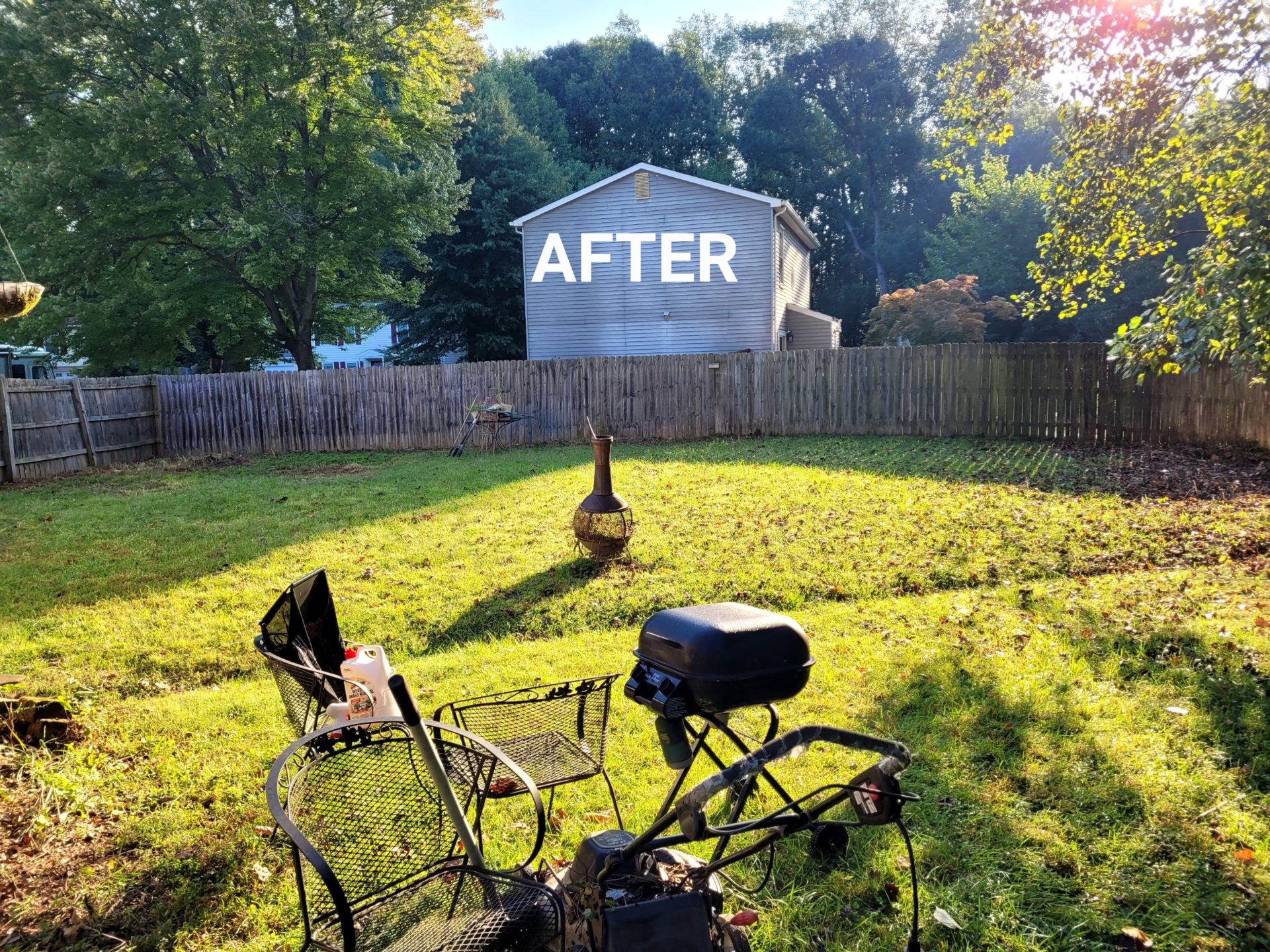 Yard Clean-Up